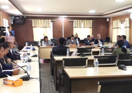 दलहरुको पुरानै कमजोरी : सांसदहरुको नाम उपलव्ध नगराएपछि समिति गठनमा ढिलाई