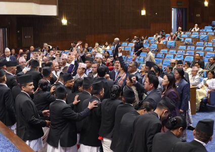 सुन कि पित्तल ? संसदमा हंगामा, प्रतिवेदनमा आशंका