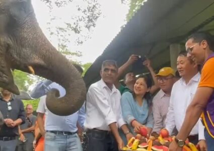 हात्ती दिवसको अवसरमा चितवनको सौराहामा हात्तीलाई वनभोज