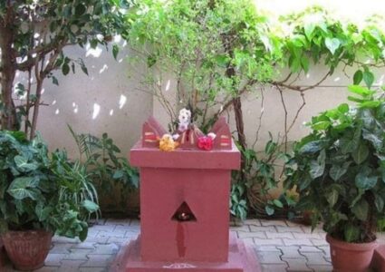 आज हरिबोधनी एकादशी: तुलसीसँग विष्णुको विवाह गरेर मनाइँदै