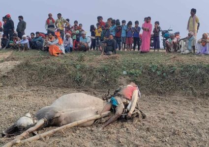 रौतहटमा जोतिरहेको अबस्थामा करेन्ट लागेर किसानको ज्यान गयो