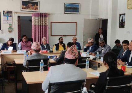 हवाई सुरक्षा सुधारबारे छानबिन समिति गठन गर्न संसदीय समितिको निर्देशन