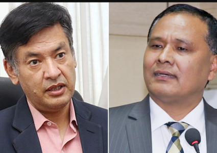 नेपाल विद्युत प्राधिकरणको कार्यकारी निर्देशकबाट कुलमान आउट, हितेन्द्रदेव इन