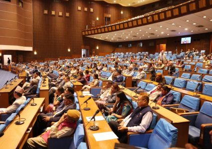 सरकारको नीति तथा कार्यक्रम बहुमतले पारित